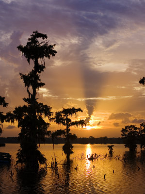 Cypress Sunset 07-28-06 #007