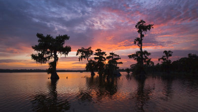 Cypress Sunset 07-28-06 #025
