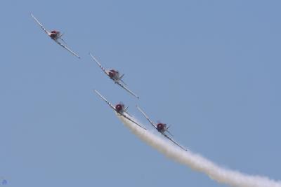 SJN (T-6 Texan) Geico Skytyper