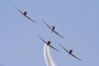 SJN (T-6 Texan) Geico Skytyper