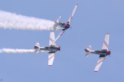 SJN (T-6 Texan) Geico Skytyper