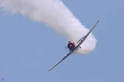 SJN (T-6 Texan) Geico Skytyper