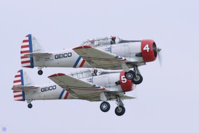 SJN/T-6 (Texan) Geico Skytypers Gallery