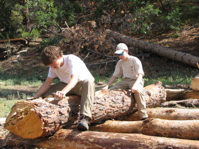 Jacob and Chris wishing for a sawmill