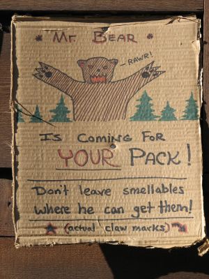 Warnings in Baldytown about Mr. Bear