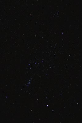 Orion - Apex