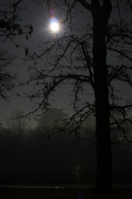Full Moon