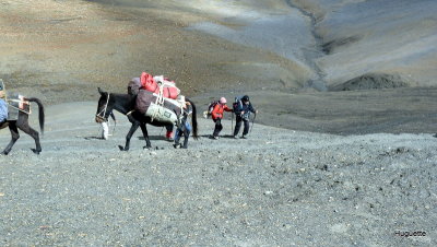 P1010167.JPG