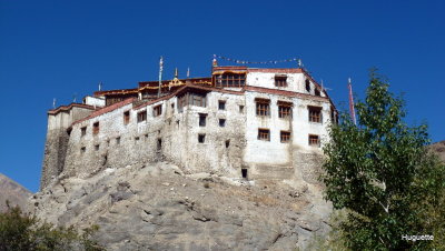 P1010328.JPG