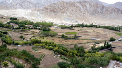 Trek Ladakh