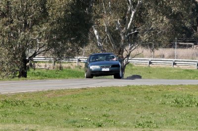 IMG_1181.jpg
