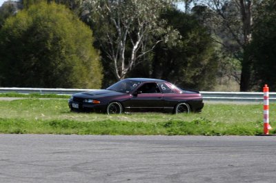 IMG_1265.jpg