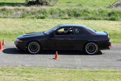 IMG_1412.jpg
