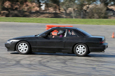 IMG_1517.jpg