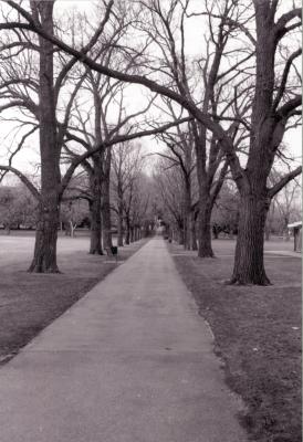 Fawkner Park 2.jpg