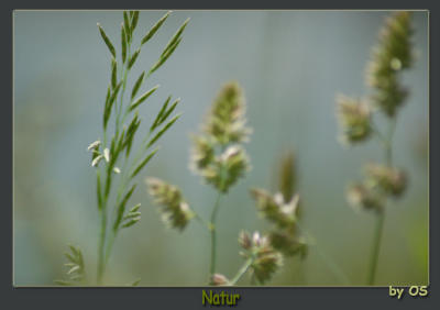 natur