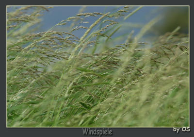 wind