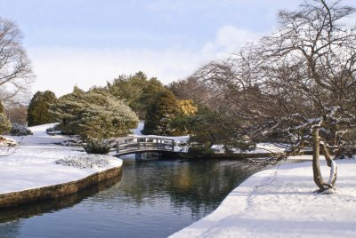 Japanese Gardens, Roger Williams Park, Providence