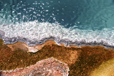 Black Pool