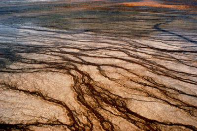 Yellowstone