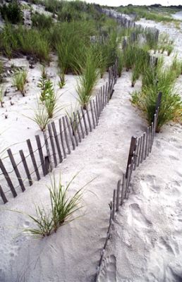 Narragansett Town Beach II