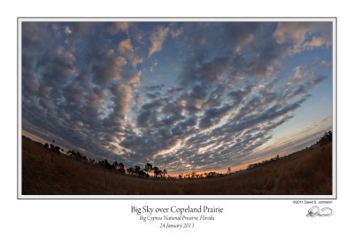 Big Sky Copeland Prairie.jpg