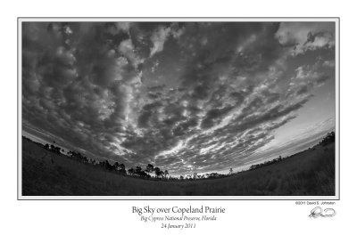 Big Sky Copeland Prairie BW.jpg