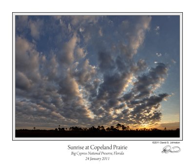 Sunrise Copeland Prairie.jpg