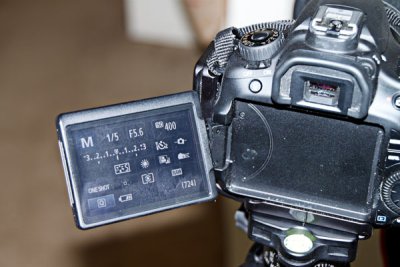 _MG_5357.jpg