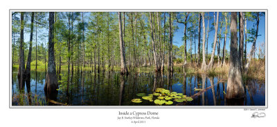Inside Cypress Dome 2.jpg