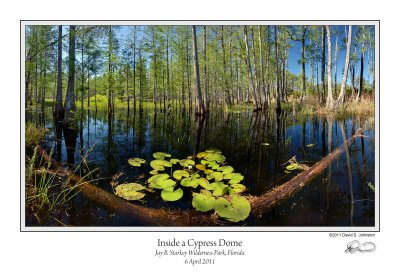 Inside Cypress Dome 3.jpg