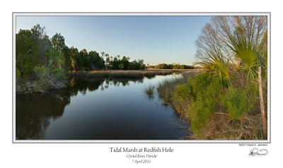 Tidal Marsh Redfish Hole.jpg
