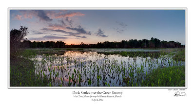 Green Swamp Dusk 2.jpg