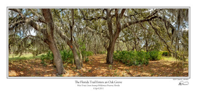 Florida Trail Enters Oak Grove v2.jpg