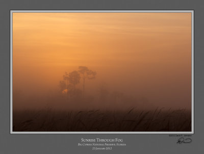 Sunrise through Fog Copeland Prairie.jpg