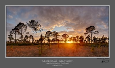 Pinelands Sunset Lake Wales Ridge SF 2.jpg