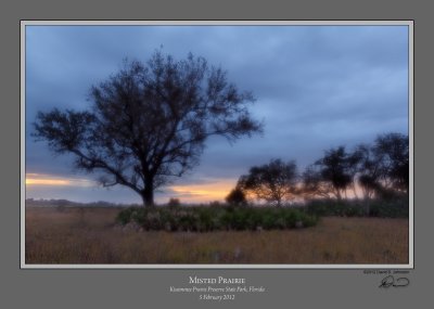 Misted Kissimmee Prairie.jpg