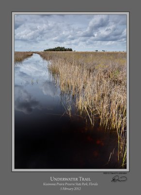Underwater Trail.jpg
