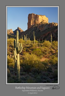 Battleship Mountain Saguaro.jpg