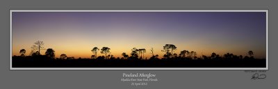 Pineland Afterglow Myakka 1 LoRes Pro.jpg