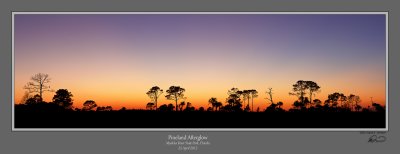Pineland Afterglow Myakka 1 MidRes Cr1 S.jpg