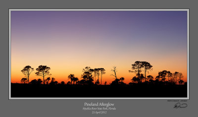 Pineland Afterglow Myakka 1 MidRes Cr2 S.jpg