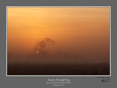 Sunrise through Fog Copeland Prairie v2.jpg