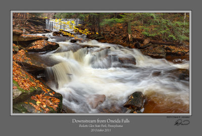 Downstream Oneida Falls.jpg
