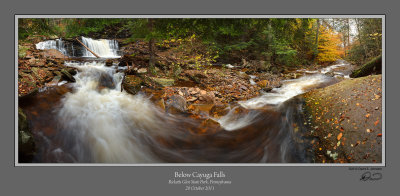 Ricketts Glen Cayuga Below 2.jpg