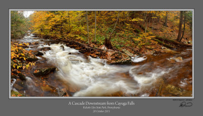 Cayuga Downstream 1.jpg
