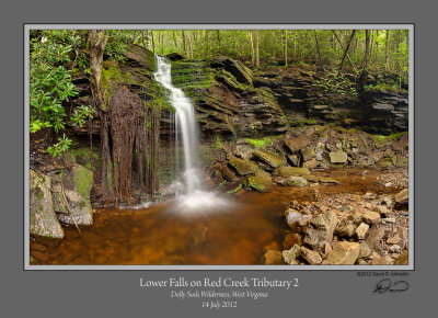 Red Creek Trib 2 Lower 2.jpg