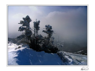 Giant Mtn Winter.jpg