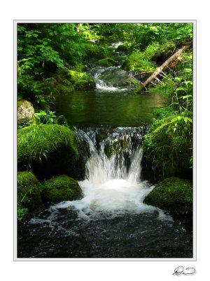 Sluice Brook 2.jpg