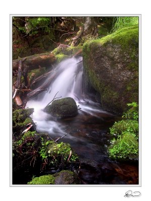 Sluice Brook.jpg